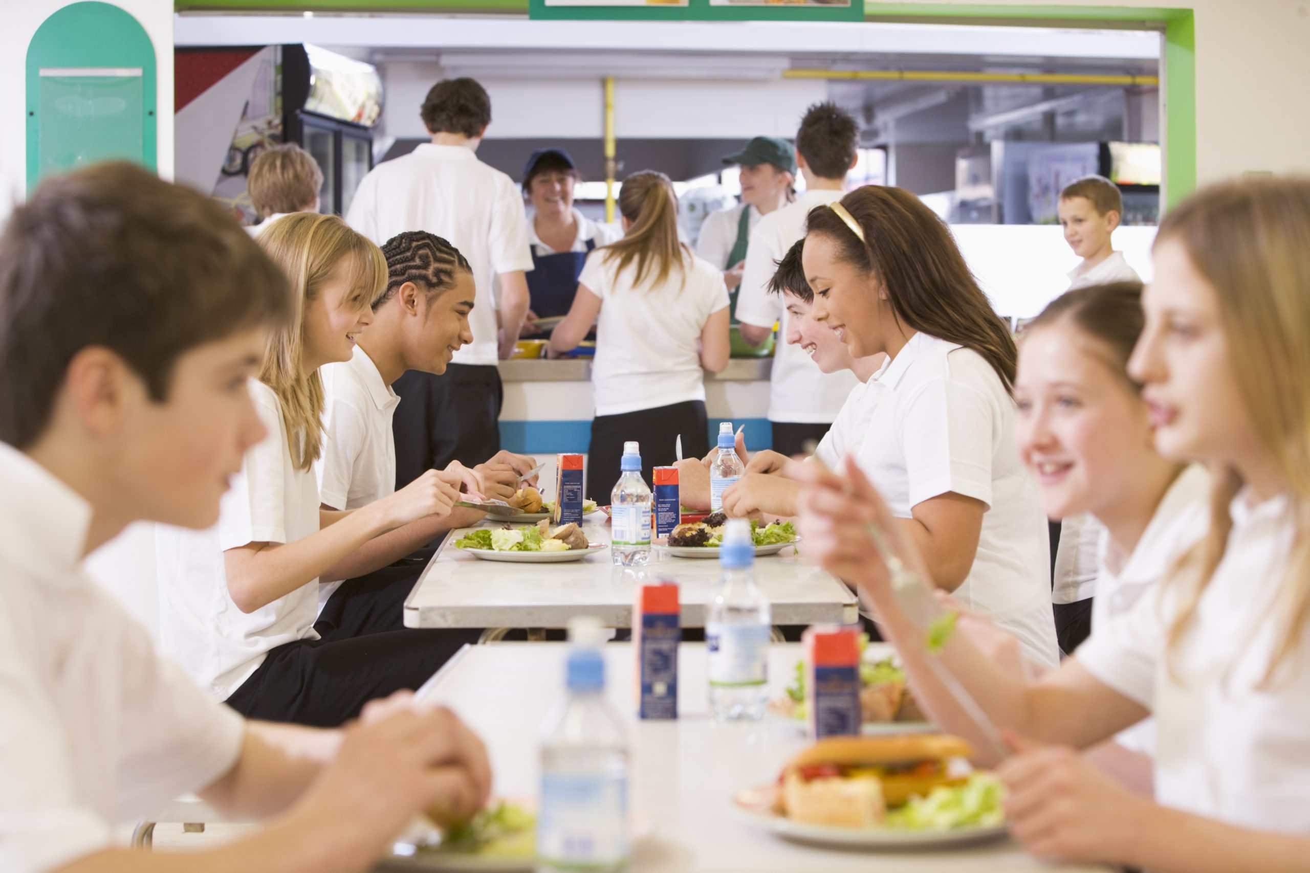 How to Meet Nutrition Guidelines and Student Preferences with Turkey image